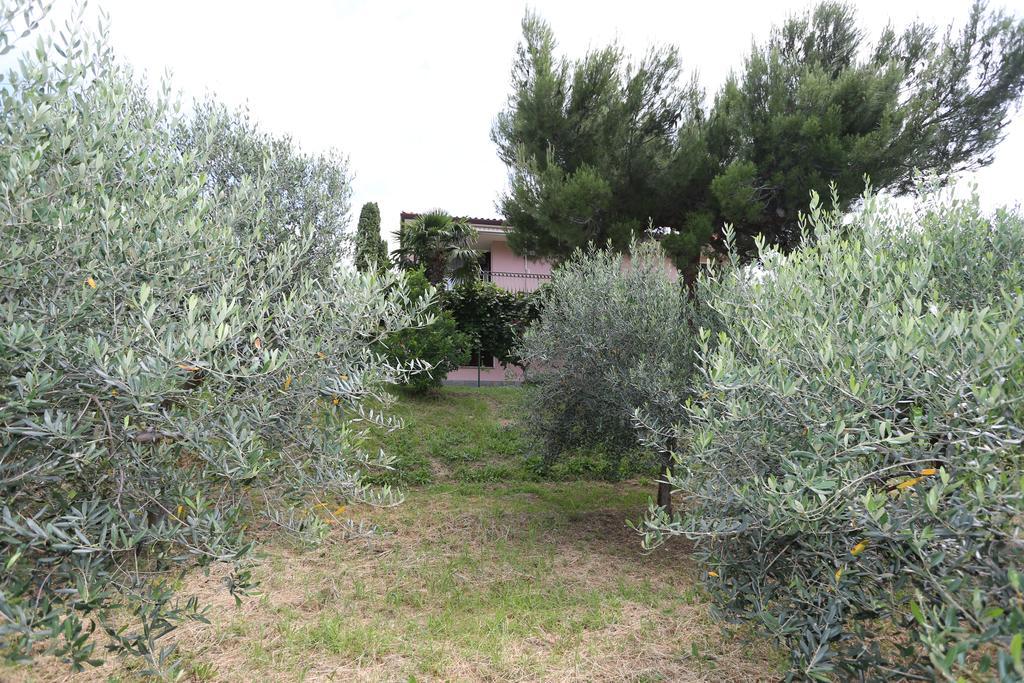 Mejak & Bordon Villa Secovlje Exterior photo