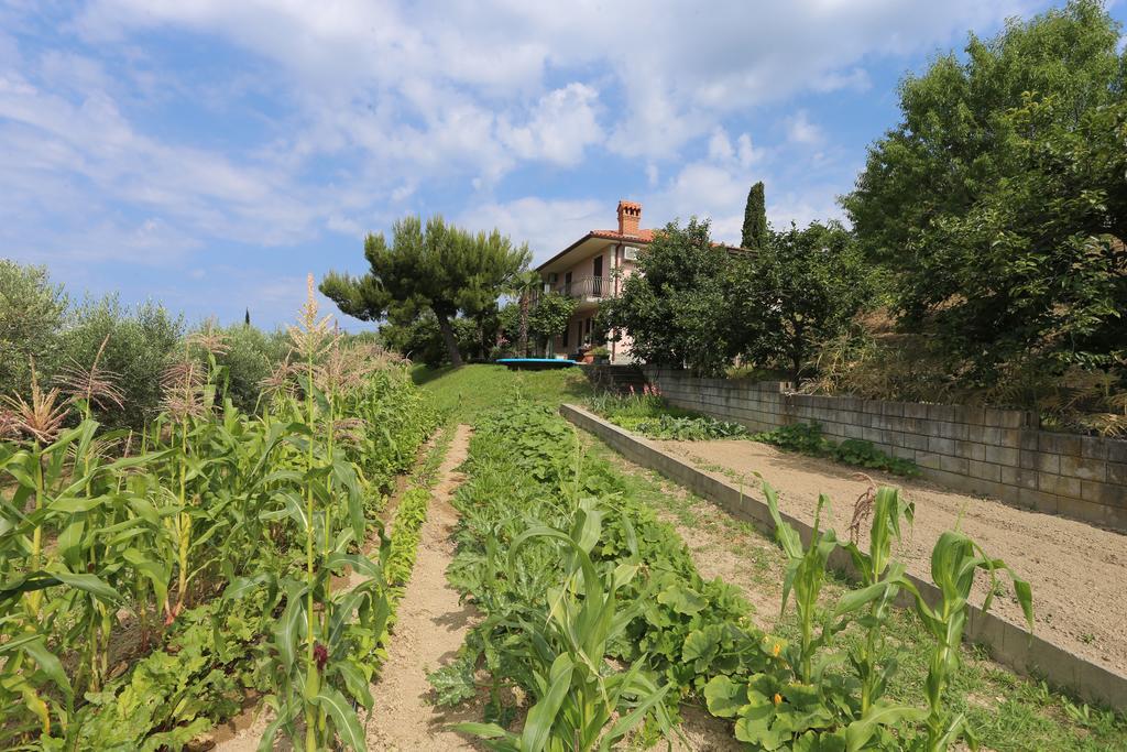 Mejak & Bordon Villa Secovlje Exterior photo