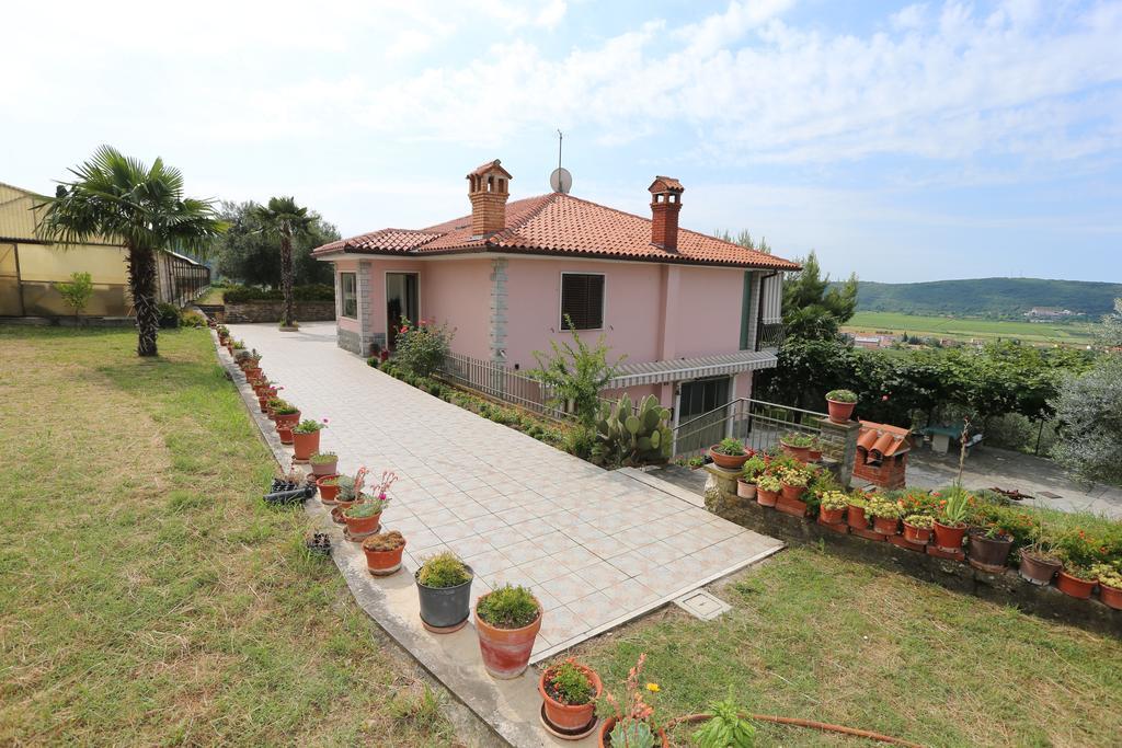 Mejak & Bordon Villa Secovlje Exterior photo