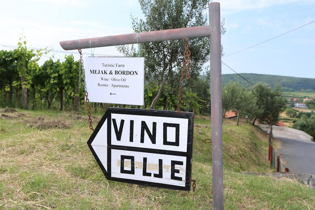 Mejak & Bordon Villa Secovlje Exterior photo