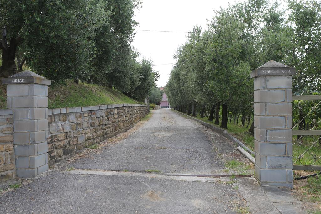 Mejak & Bordon Villa Secovlje Exterior photo